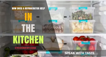 How Refrigerators Revolutionize Kitchen Efficiency and Food Preservation