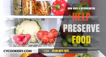 How Refrigerators Preserve Food: Science Behind Freshness and Longevity