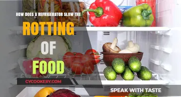 How Refrigerators Preserve Food: Slowing Rotting Process Explained