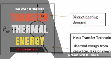 Understanding Refrigerator Thermal Energy Transfer: A Comprehensive Guide