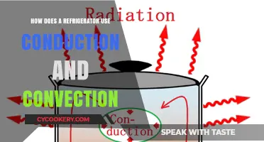 How Refrigerators Utilize Conduction and Convection for Efficient Cooling