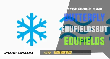 Understanding Refrigerator Functionality: Butterfly Edufields Explains Cooling Science