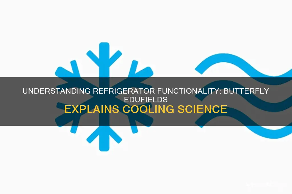 how does a refrigerator work butterfly edufieldsbutterfly edufields