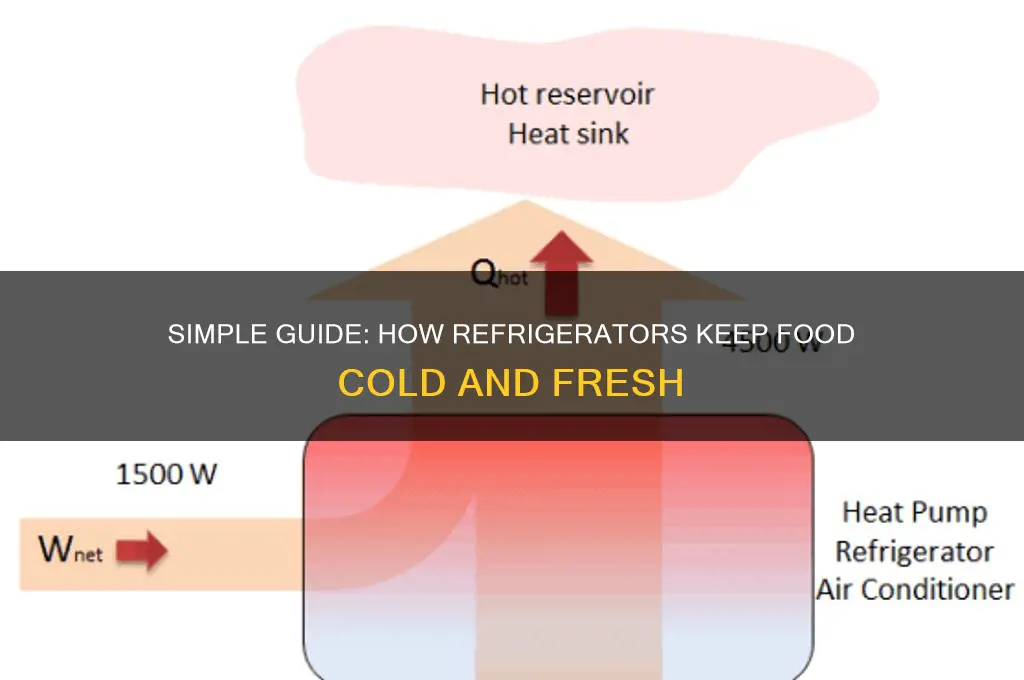 how does a refrigerator work for dummies
