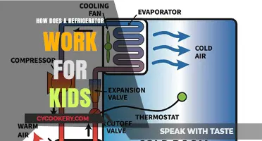 Cool Science: How Your Fridge Keeps Food Fresh for Kids