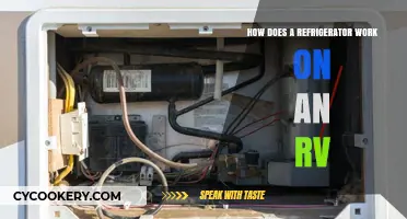 RV Refrigerator Basics: Understanding How Your Fridge Works on the Road