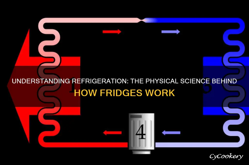 how does a refrigerator work physical science