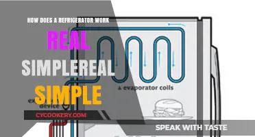 How Refrigerators Work: A Simple Guide to Cooling Your Food