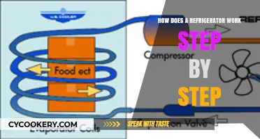 Understanding Refrigeration: A Step-by-Step Guide to How Fridges Work