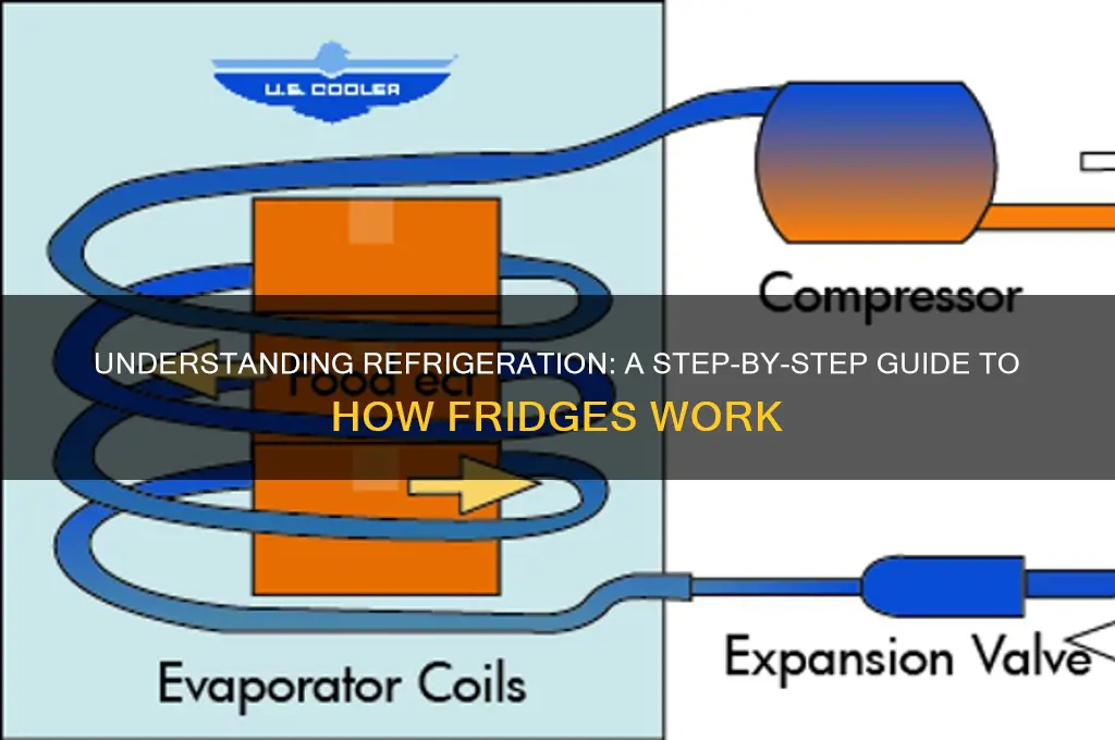 how does a refrigerator work step by step