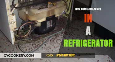 How Do Roaches Enter Your Fridge? Surprising Ways Explained
