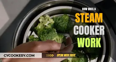 Steam Cookers: How Do They Work?