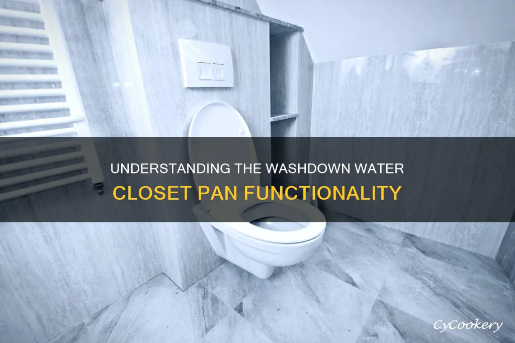 how does a washdown water closet pan work