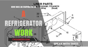 Understanding the Role of an Evaporator in Refrigeration Systems