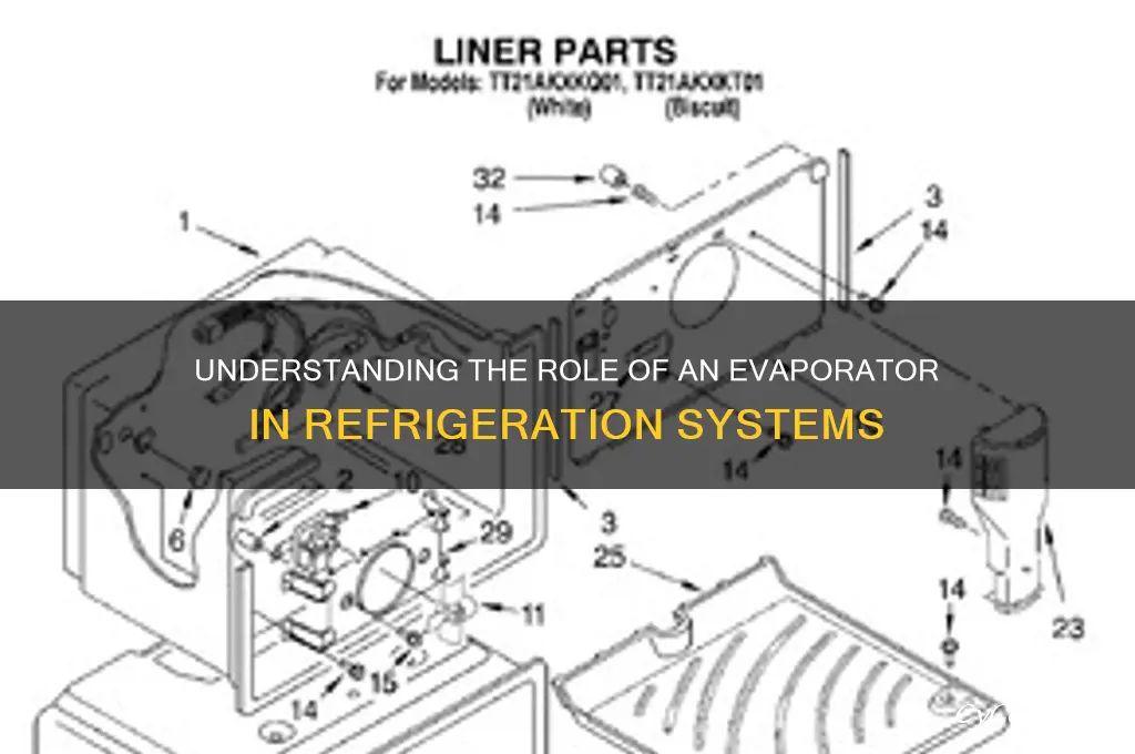 how does an evaporator in a refrigerator work