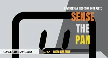 Induction Hoyt Plates: Sensing the Pan