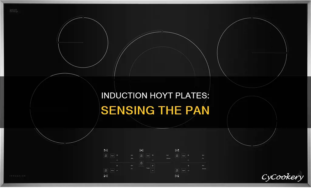 how does an induction hoyt plate sense the pan