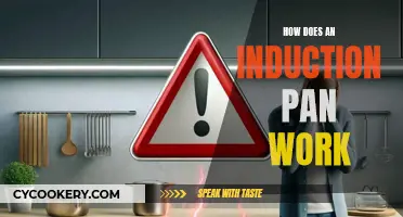 Induction Pans: How Do They Work?