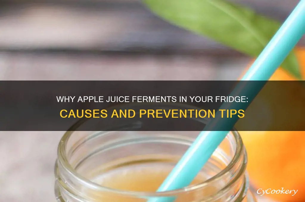 how does apple juice end up fermenting in refrigerator