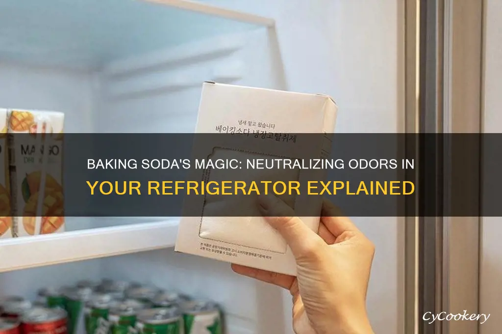 how does baking soda work in refrigerator