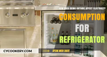 Outdoor Placement of Fridges: Impact on Energy Usage and Efficiency