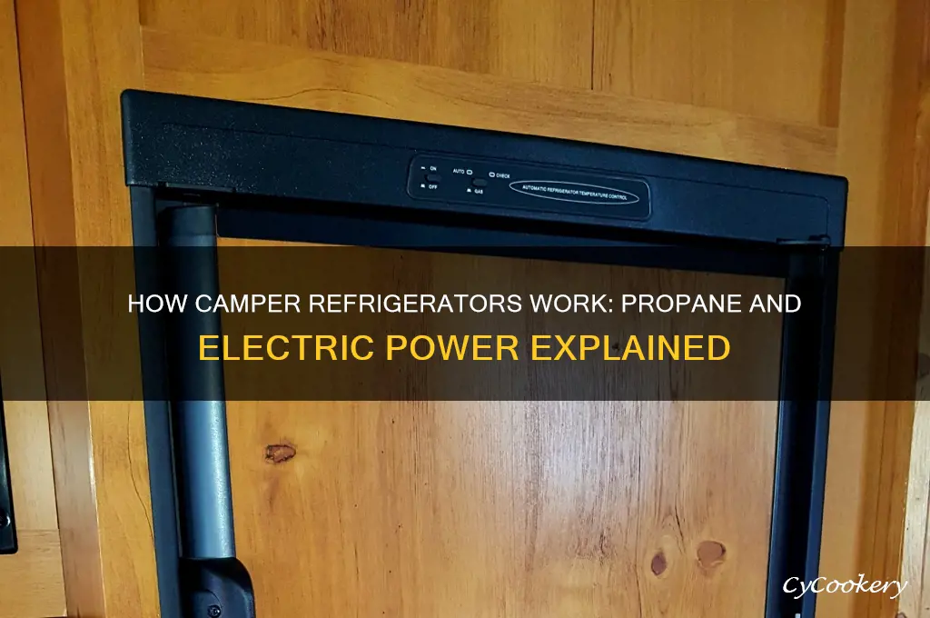 how does camper refrigerator work propane electric
