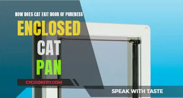 Cat Pan: How Does Your Cat Exit?