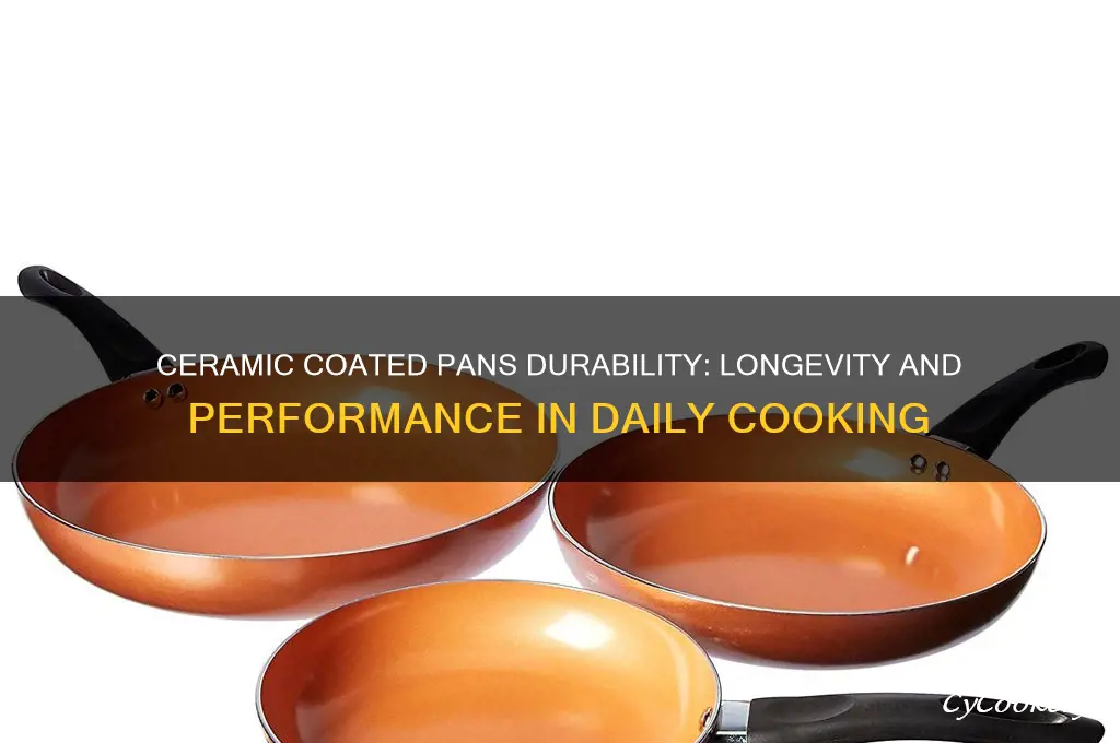 how does ceramic coated pans hold up to regular use