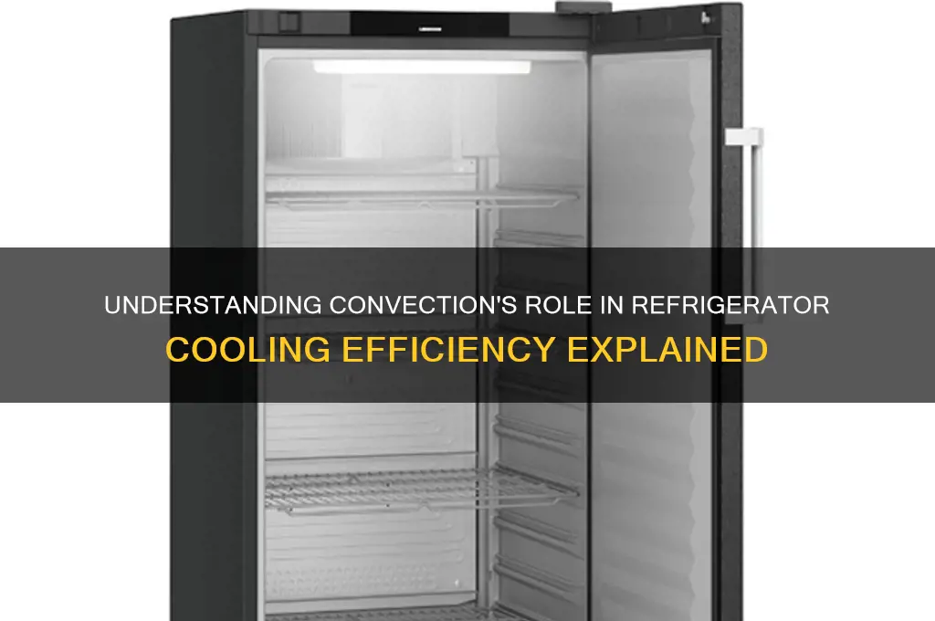 how does convection work in a refrigerator