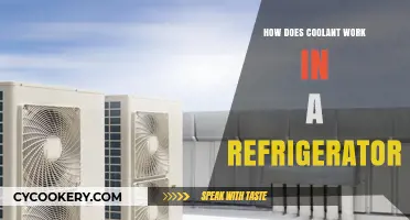 Understanding Refrigerator Coolant: How It Works to Keep Food Fresh
