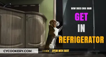 Why Dog Hair Ends Up in Your Fridge: Surprising Causes Explained