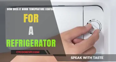 Understanding Refrigerator Temperature Control: How It Works and Why It Matters