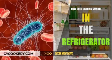 Preventing Listeria: How This Bacteria Spreads in Your Refrigerator