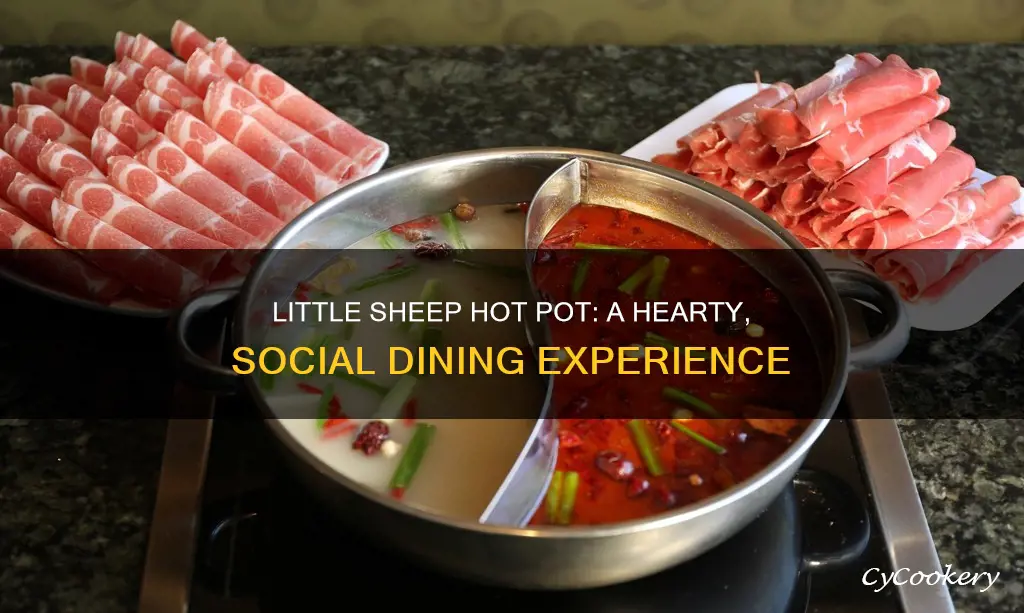 how does little sheep hot pot work