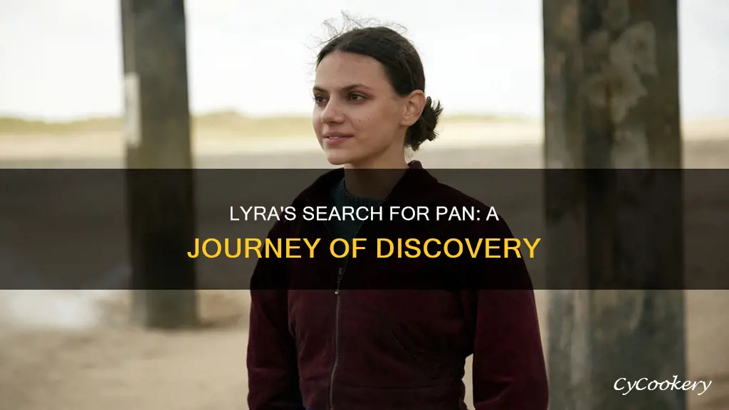 how does lyra find pan again