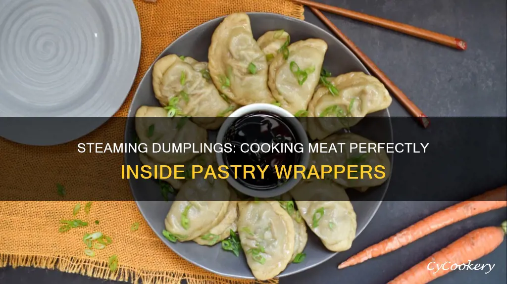 how does meat cook when steaming a dumpling