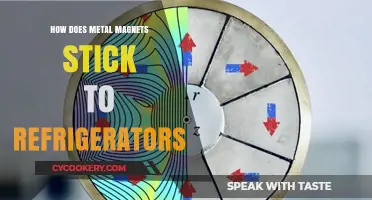 Why Metal Magnets Stick to Refrigerators: The Science Explained