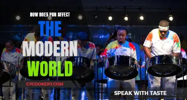 PAN in the Modern World: Impact and Influence