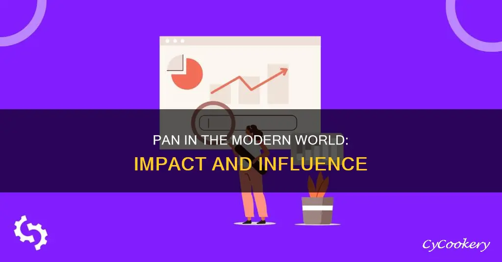 how does pan affect the modern world