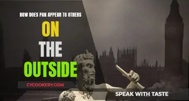 Pan's Public Perception: An Outsider's View