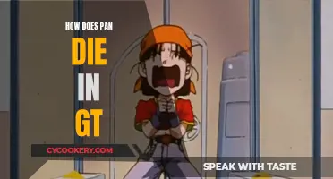 Pan's Tragic End in Dragon Ball GT
