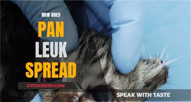 Pan Leukemia: Understanding the Spread and Impact