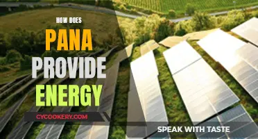 Pana's Energy Revolution: Powering a Sustainable Future