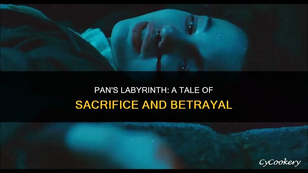 how does pan