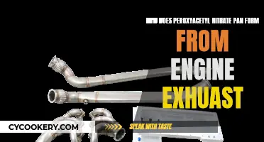 Engine Exhaust: The Formation of Peroxyacetyl Nitrate