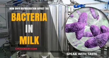 Refrigeration's Impact on Milk Bacteria: Preservation or Proliferation?
