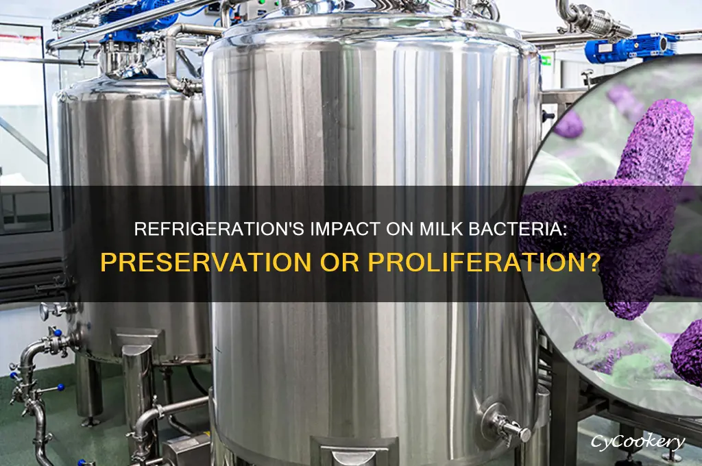 how does refrigeration affect the bacteria in milk