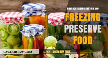 Refrigeration and Freezing: The Science Behind Food Preservation Techniques