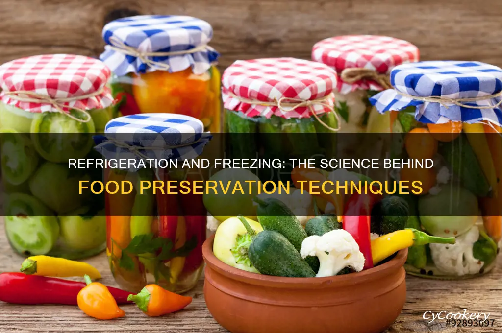 how does refrigeration and freezing preserve food