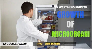 Refrigeration's Role: Slowing Microbial Growth in Food Preservation
